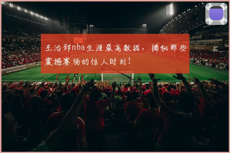 王治郅nba生涯最高数据,揭秘那些震撼赛场的惊人时刻!