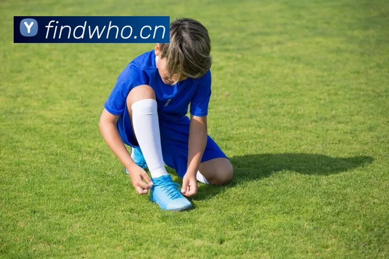 半岛网页版登录入口APP 高清赛事图